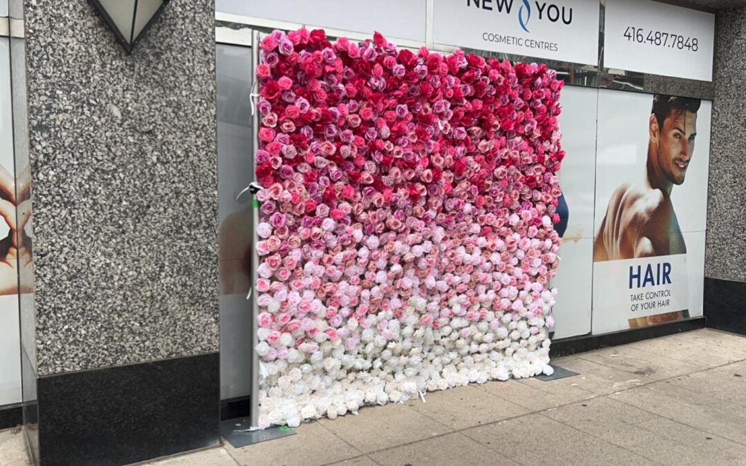 Flower Wall Rental Hamilton