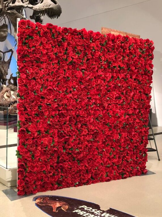 red rose flower wall for public event in Orillia