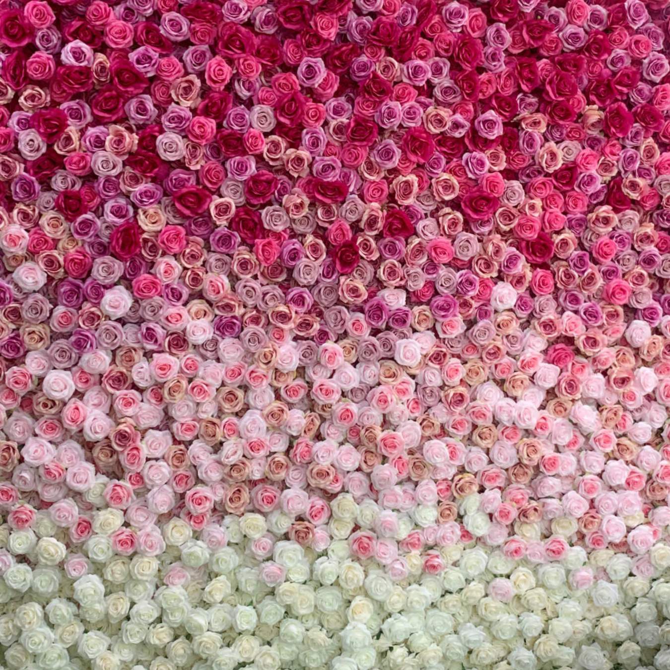 Gradient Ombre Flower Wall Barrie Marquee Decor Rental