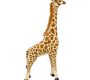 rent-large-giraffe-plush