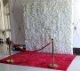 red-carpet-rental-710-feet